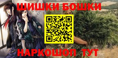 Альфа ПВП Будённовск
