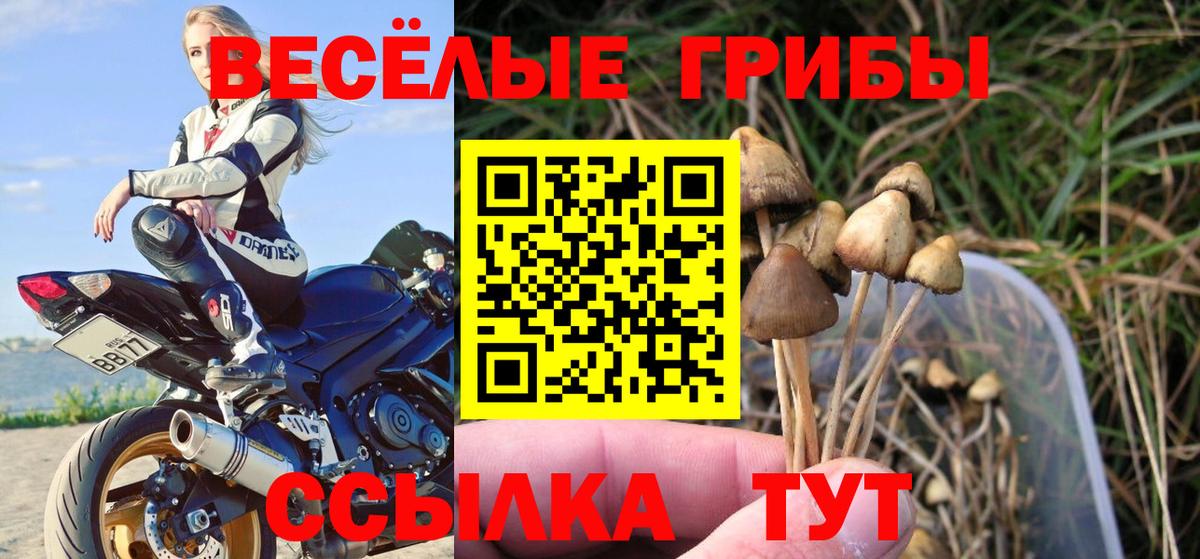 Галлюциногенные грибы прущие грибы Луховицы